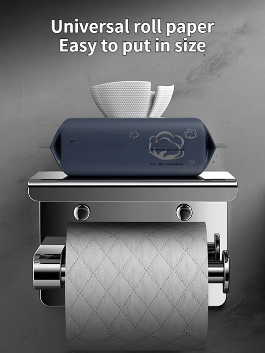 Stainless Steel Wall-Mounted Paper Towel & Toilet Roll Holder